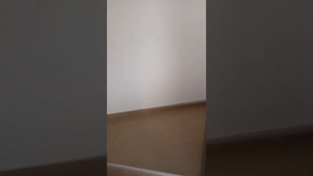 Апартаменты лепетане, 70€ смотреть онлайн