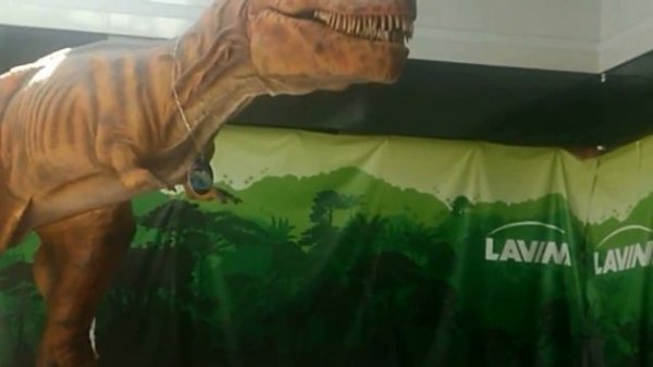 Иллюша смотрит динозавра тиранозавра, роботов и покупает тортик в ТРЦ Lavina Mall