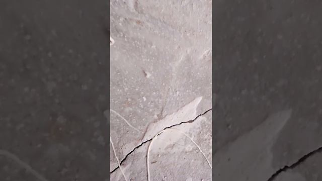 как правильно постелить ковролин #своимируками #чпек #метатель #гаражвбекасово #клеймомент смотреть онлайн