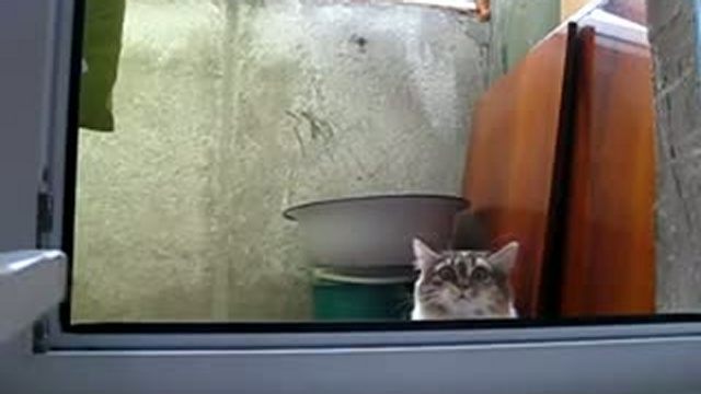 Ржака страшная! смотреть онлайн