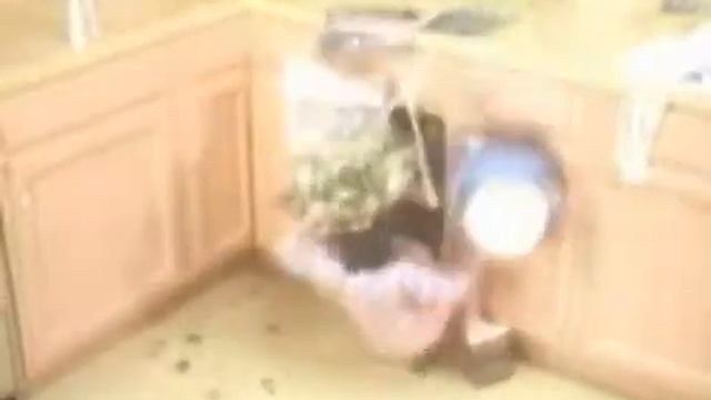 Incredible_shrinking_woman