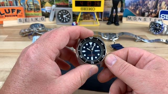Save the Padi Turtle смотреть онлайн