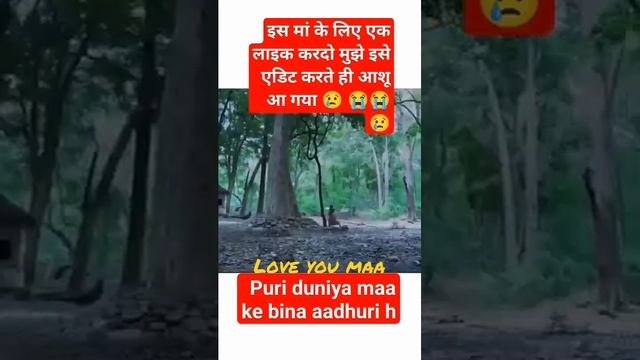 love you mother # love this mom# good viral video смотреть онлайн