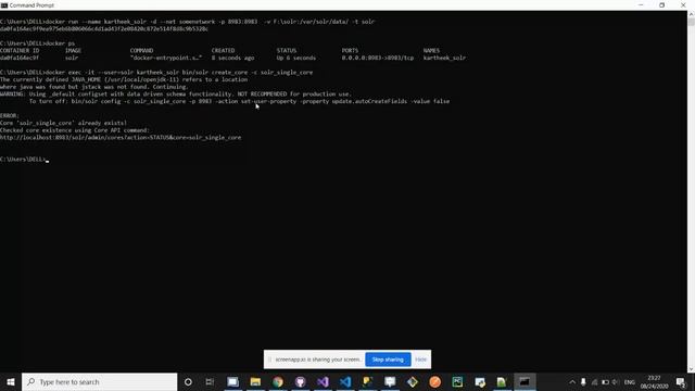 Apache Solr on Docker смотреть онлайн