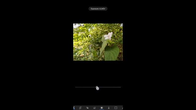 Pro Mode Camera Tutorial ft. Poco M2 Pro || Intaj Technical смотреть онлайн