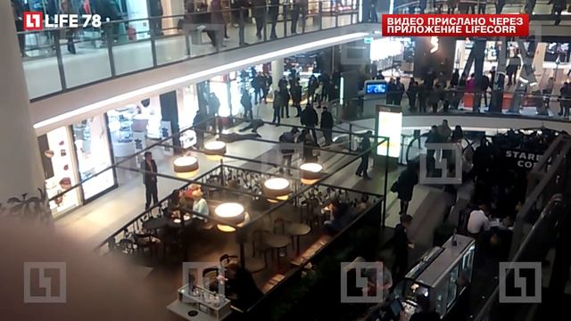 ФСБ задержала двух посетителей торгового центра на Невском проспекте смотреть онлайн