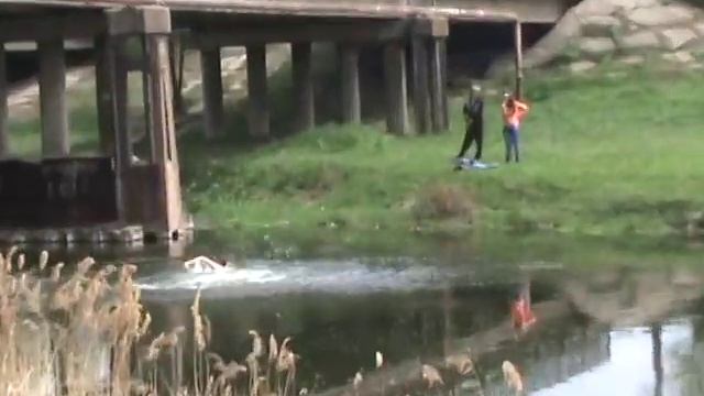 Дружковка прыжок с донского моста смотреть онлайн