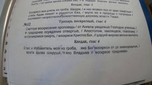 Воскресные Тропари и Кондаки.Обучающее видео №3.Литургия.