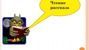 цветок на земле