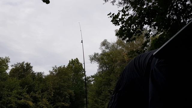 Вот это УЛОВ!!! Здоровенный Лещ Рыбалка на кукурузу Улов Мечты Ловля леща на фидер смотреть онлайн