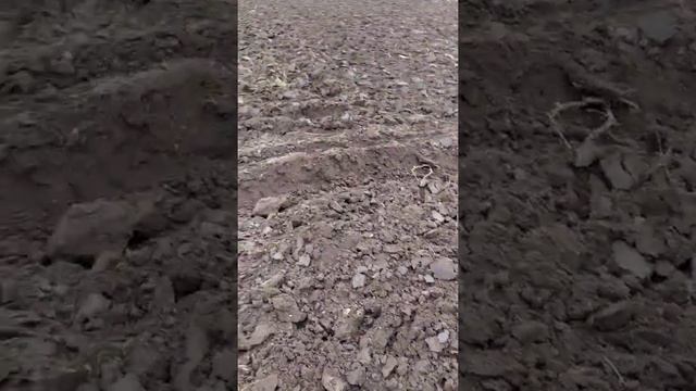 немного о настройке плуга