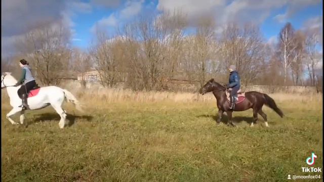 тренировка в поле