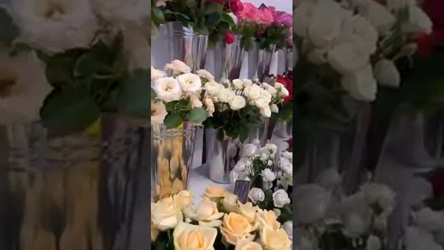 Цветомания Майкоп смотреть онлайн