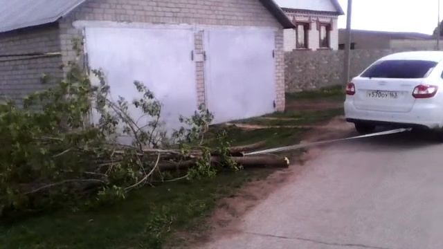 Гранта тащит дерево смотреть онлайн