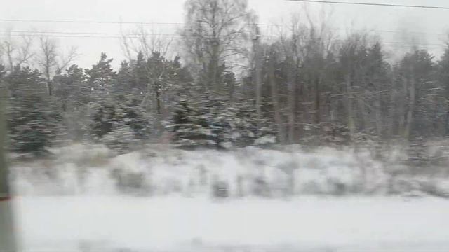 Перегон Хорошово-пл. 113км на электропоезде ЭД4М номер 0087 и 0119(вот такой винегрет)