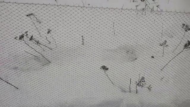 Мережа для ловли рыбы смотреть онлайн