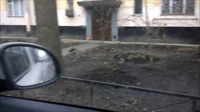 Крыса охотится на ворону))) смотреть онлайн