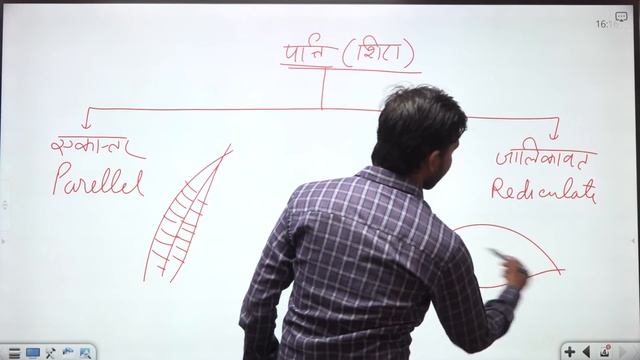 पत्ती | Parts of a Leaf ? | Step by Step Drawing | Know How Its Works by Khan Sir смотреть онлайн