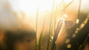 «Всего-то навсего: полюби!» Праздничный хор и хор сестер Минского Свято-Елисаветинского монастыря