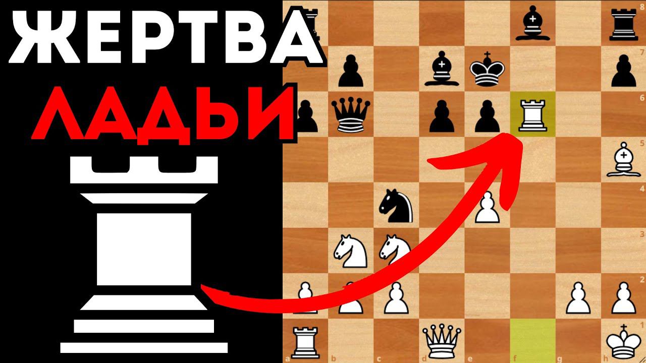 Красивая жертва Ладьи в Сицилианской защите. Шахматы смотреть онлайн