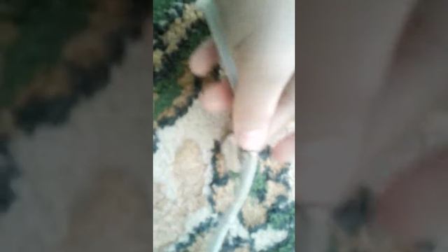как сделать ошейник для котят простой способ своими руками смотреть онлайн