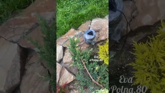 НИВАКИ из Можжевельника. Своими руками ?♀️ смотреть онлайн