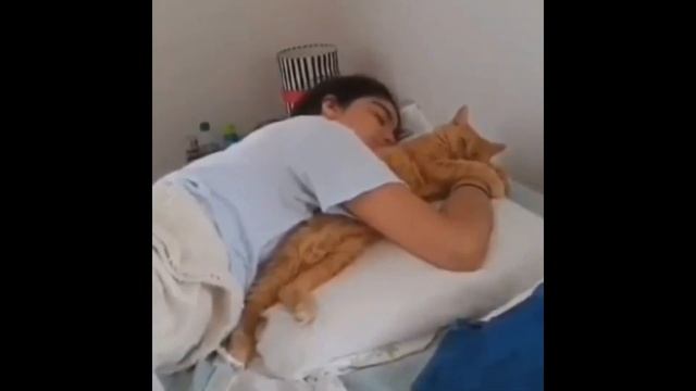 Даже самая маленькая кошка – это произведение искусства смотреть онлайн