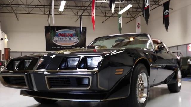 1979 Pontiac Trans Am Y84 Special Edition! смотреть онлайн