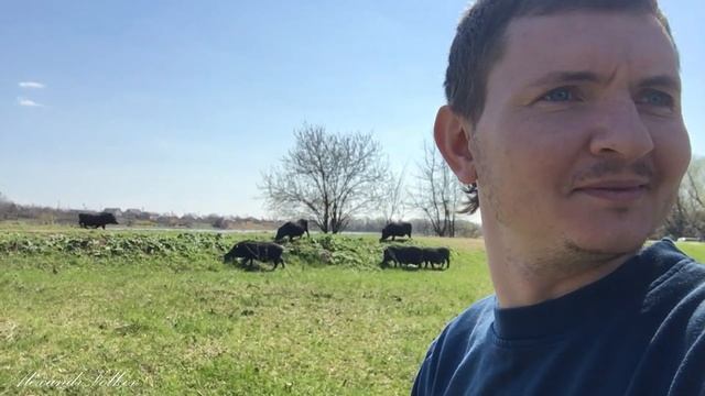 Рыбалка весной, село Незавертайловка, на речку Турунчук, район больничка. Deaf смотреть онлайн