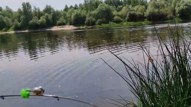 Отдых река Припять, Лунинецкий район смотреть онлайн