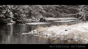 Соблазнила зятьев сняв на камеру. Измены. Теща Зять. Истории измен. теща зять истории жизни.