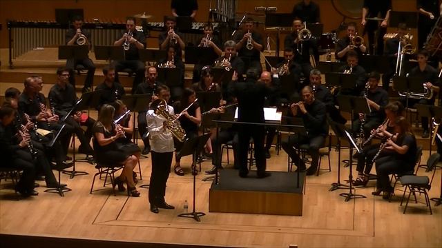 Festival AETYB Valencia 2016 - Euphonic Concerto de José Suñer / Jean Daufresne смотреть онлайн