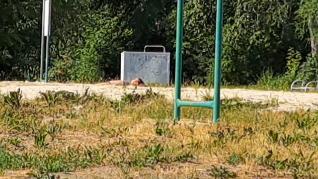 Город Озерск. Пляж Молодёжный. смотреть онлайн