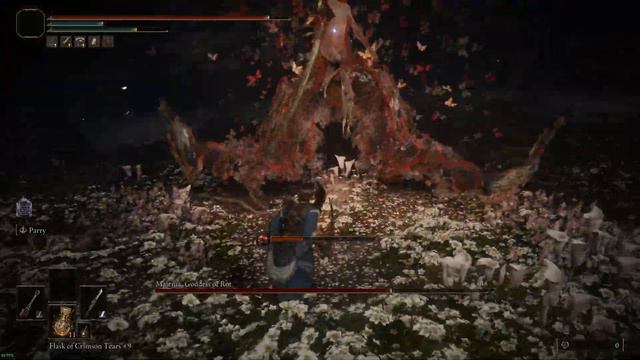 Malenia, Blade of Miquella Dominated by Blue Dancer — Elden Ring смотреть онлайн