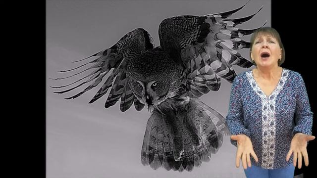 Стихотворение «Храбрая Мама» читает Елена Миличкина смотреть онлайн