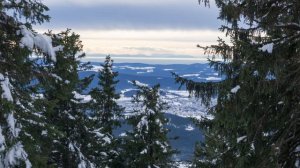 В суровых горах одиноко меж скал