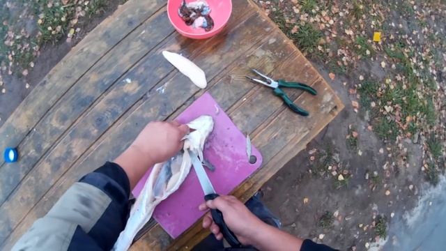 Как чистить налима. How to clean burbot смотреть онлайн