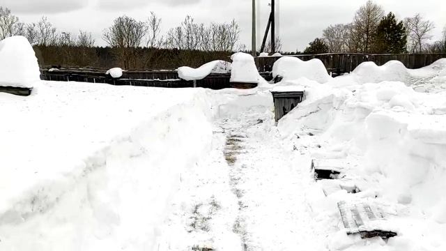 Подготовка ПАСЕКИ к новому СЕЗОНУ. Чистим Пасеку от Снега || 2021 #32 смотреть онлайн