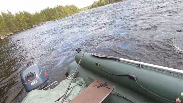 Это я удачно заехал, хариус на любимой реке. #ПогодаПоповПорог #ОтдыхКарелия #РыболовныйГид #Хариус смотреть онлайн