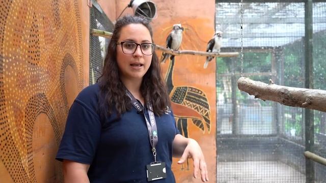 Reaseheath Mini Zoo: Poo At The Zoo! смотреть онлайн