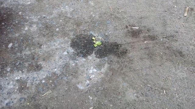 Опель мерива воздушный фильтр смотреть онлайн