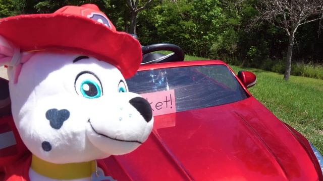 ?Paw Patrol's Skye and Chase's fun day at the Playground No Bullying at School Baby Pups Videos! смотреть онлайн