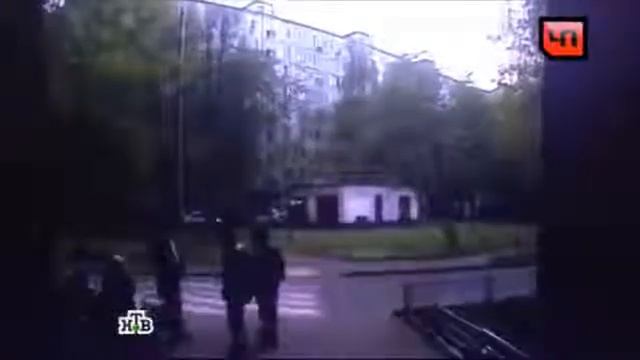 Камера сняла гибель пенс