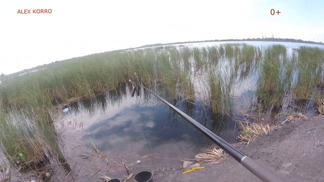 Душевная Рыбалка на Шахте Абайская, Караси нас удивляли как они могли топить поплавок. смотреть онлайн