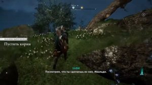 Кошачьи следы, корень горы!!! Невиданная привязь для Фенрира!!! Assassin's Creed Valhalla #34