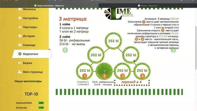 МАркетинг MagicLime