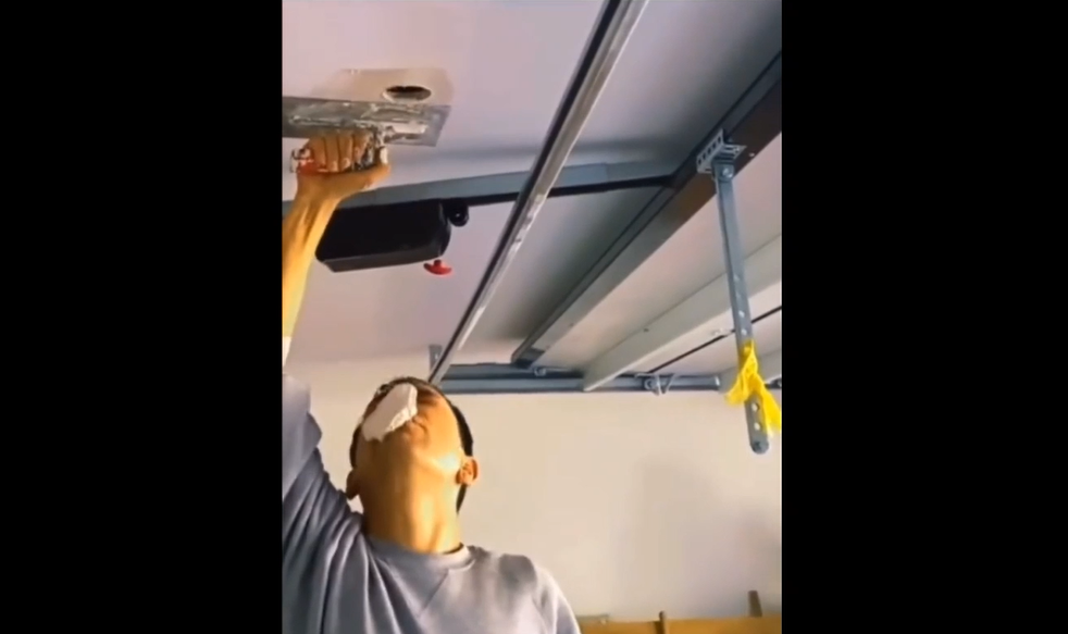 Ржомба с людьми смотреть онлайн