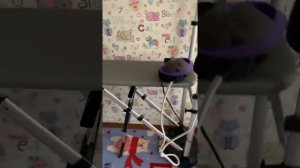 Тестируем гладильную систему KT-992 от #Китфорт #Kitfort