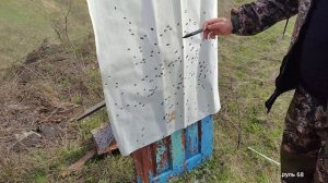 Сравнительный ОТСТРЕЛ ARMSAN-A612 и МР-155💪Что выбрать?