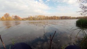 Херабуна, корейская оснастка.  Караси в октябре.